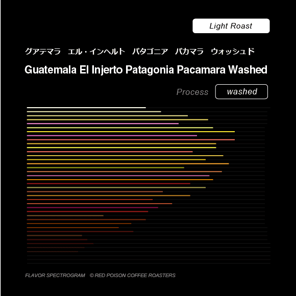 Image of Guatemala El Injerto Patagonia Pacamara Washed