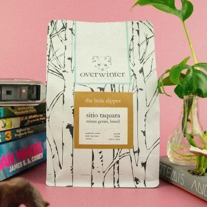 Image of The Little Dipper