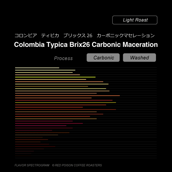Image of Colombia Typica Brix26 Carbonic Maceration