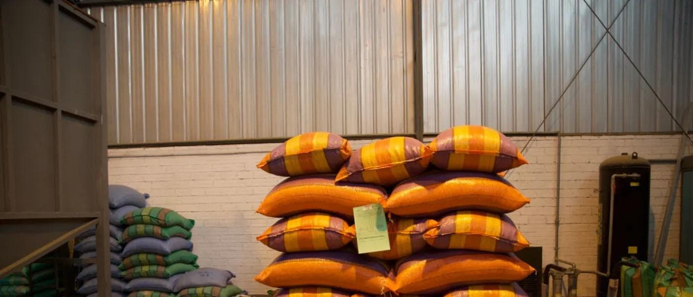 Image of Bolivia Sol De La Mañana Peaberry