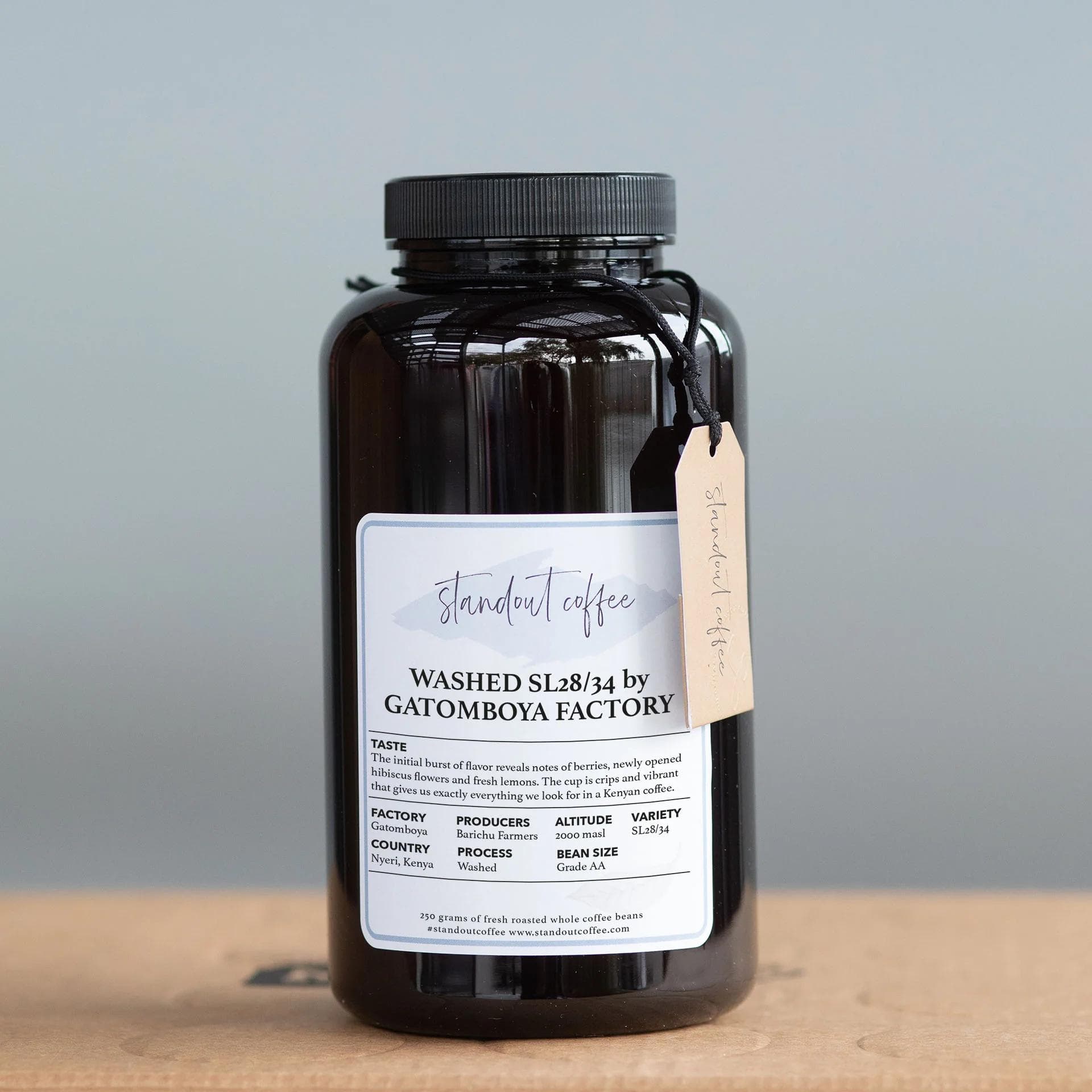 Image of Kenya Gatomboya AA Washed SL28/34