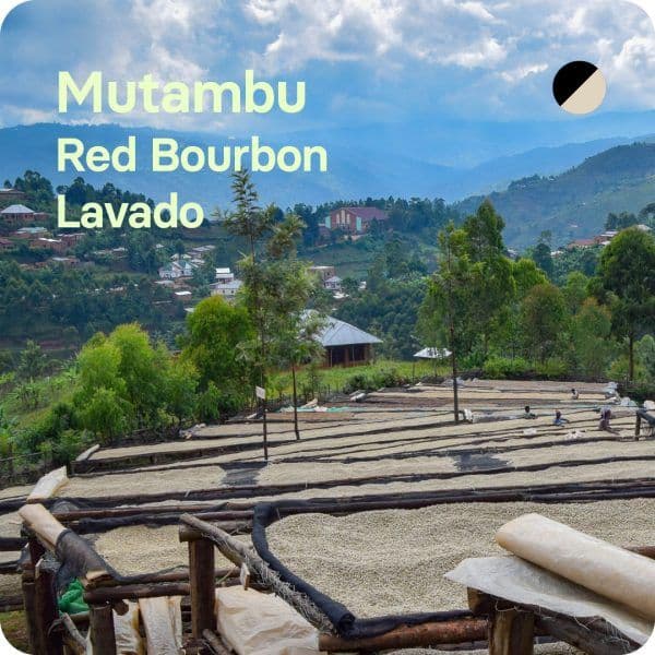 Image of Mutambu Burundi