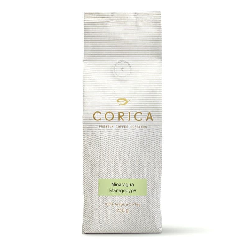 Image of Nicaragua Maragogype