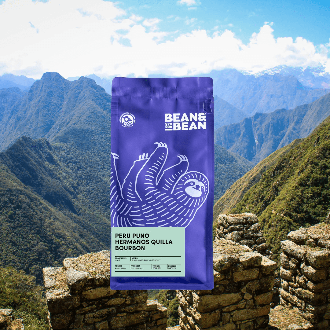 Image of Peru Puno Hermanos Quilla Bourbon