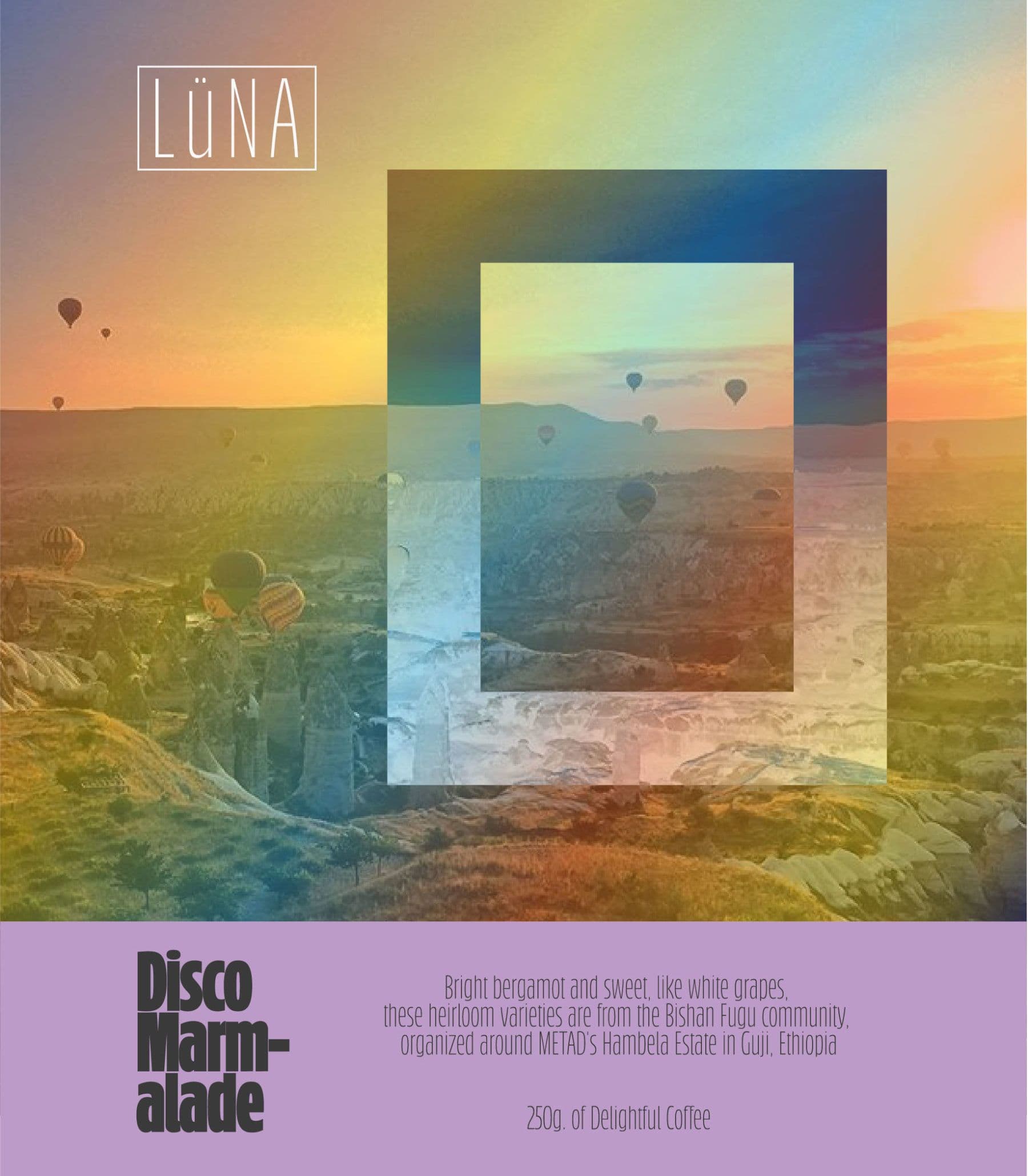 Image of Disco Marmalade 2017