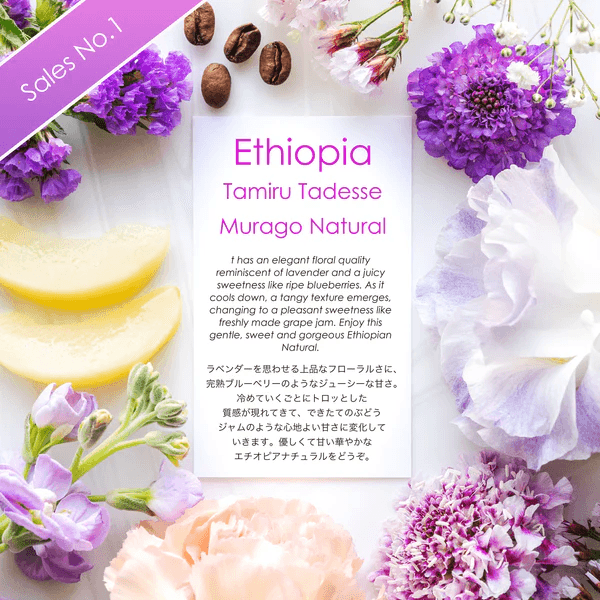 Image of Tamiru Tadesse Murago Natural