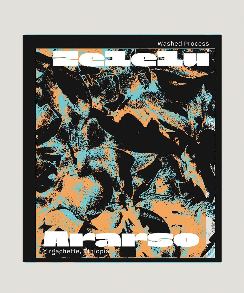 Image of Zelelu Ararso 74110 And 74112 varieties from Yirgacheffe Ethiopia