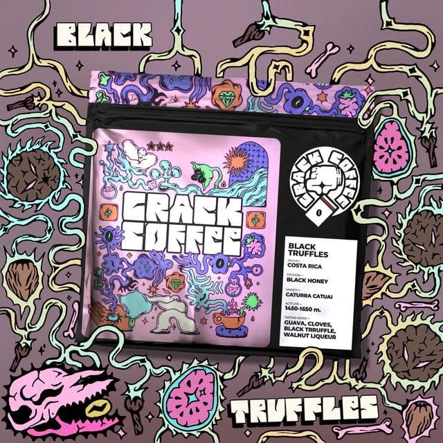 Image of Black Truffles - Costa Rica