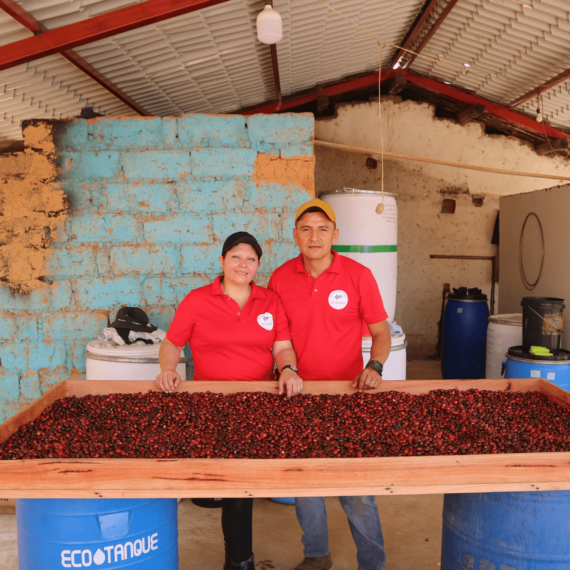 Image of Ecuador El Alisal Typica