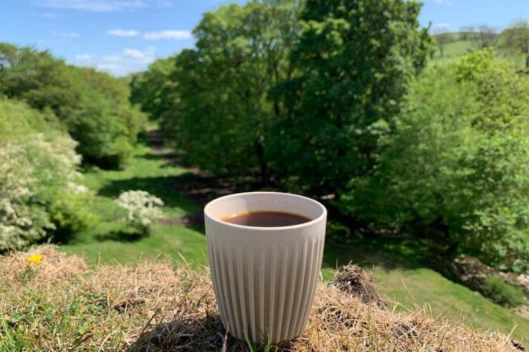 Image of El Salvador Los Angeles Natural