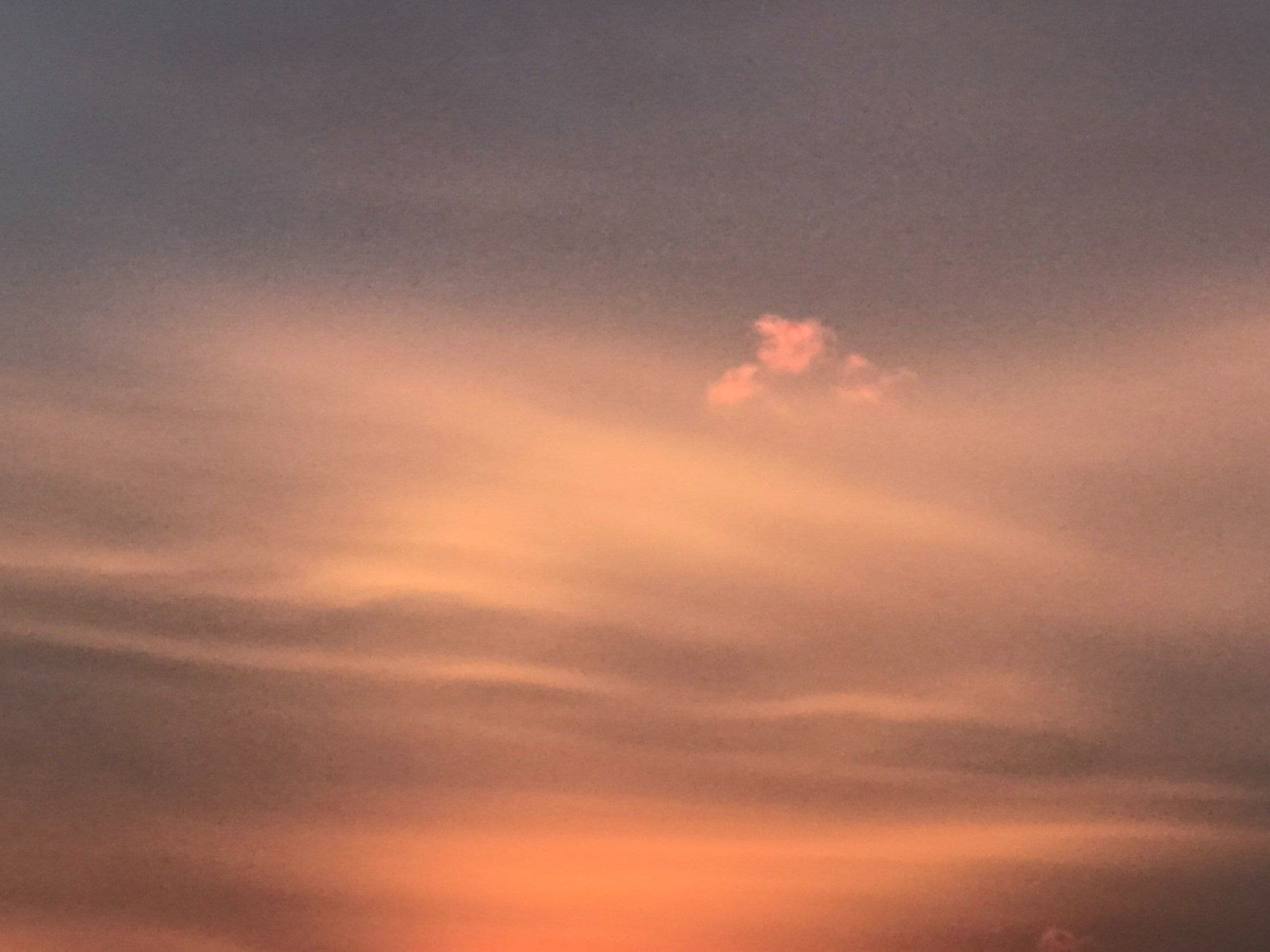 Image of Nguguini Kenya