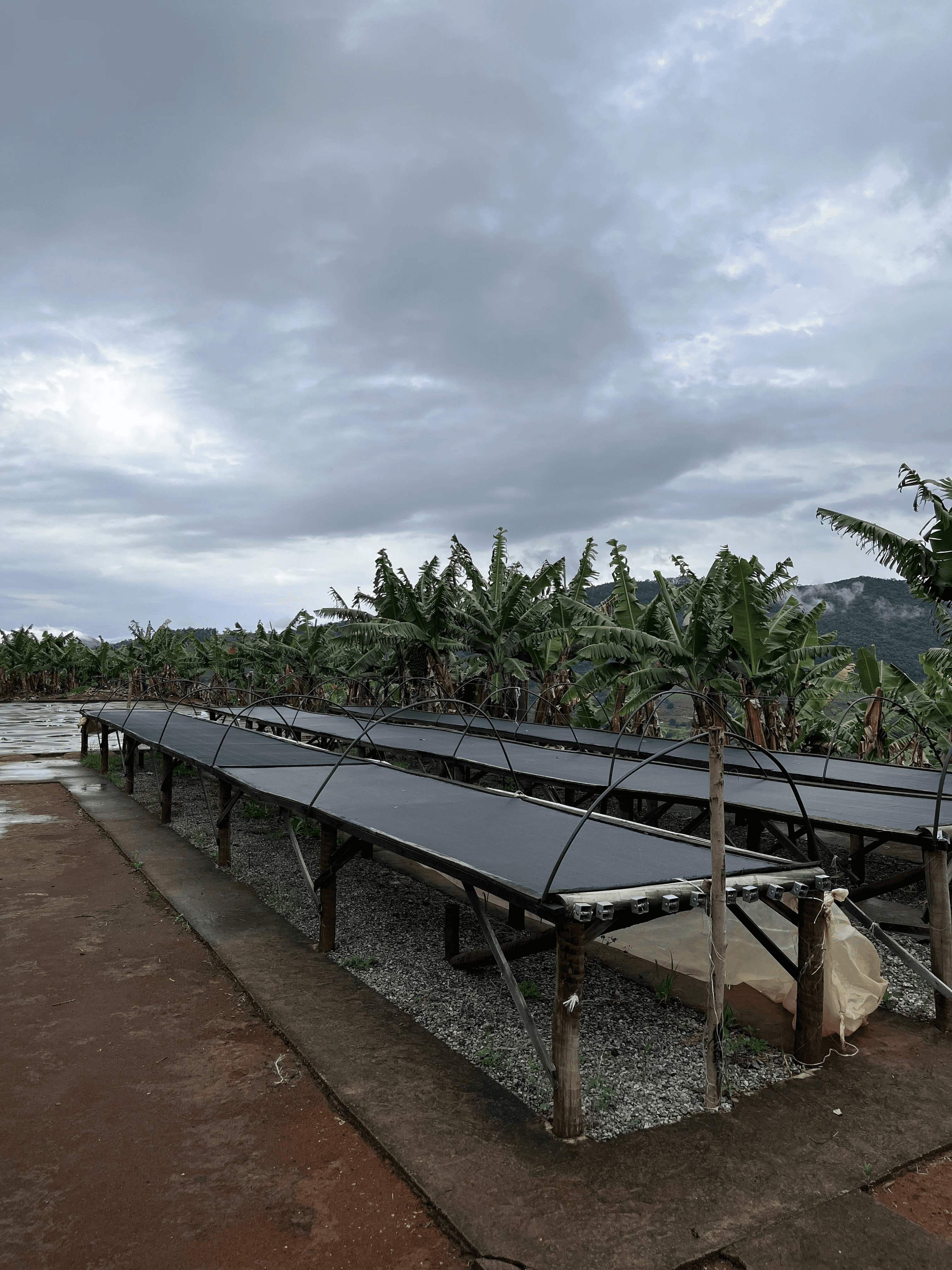 Image of Brazil - Santa Catarina