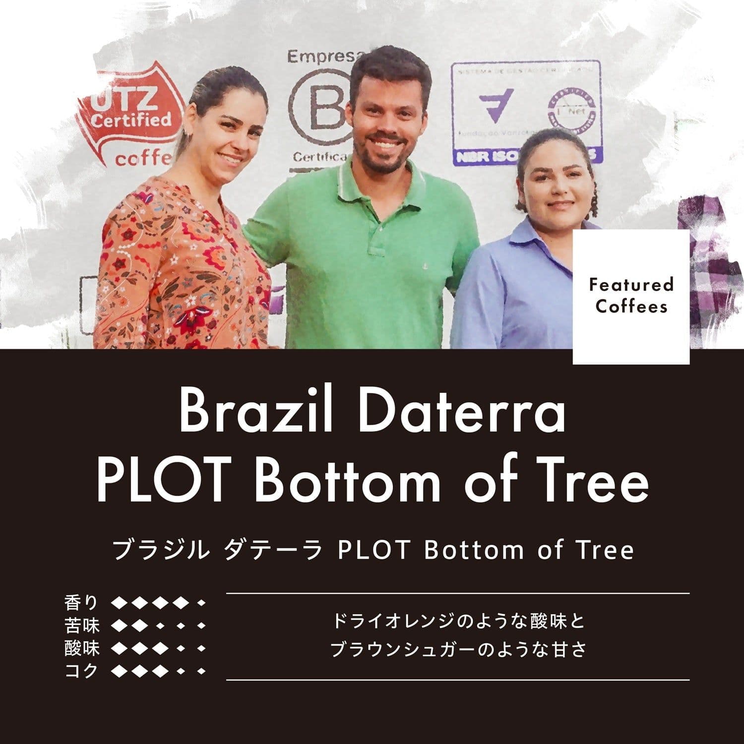 Image of Brazil Daterra Ogawa Plot Bottom of Tree