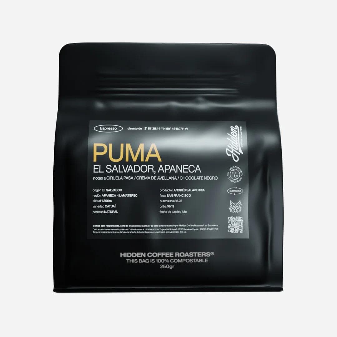 Image of Puma – El Salvador