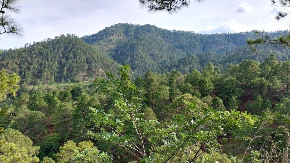 Image of Nicaragua La Roca & Guatemala Los Volcanes