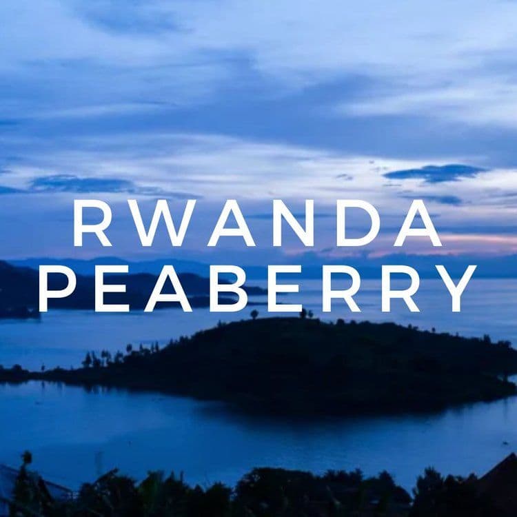 Image of Rwanda Peaberry Lake Kivu