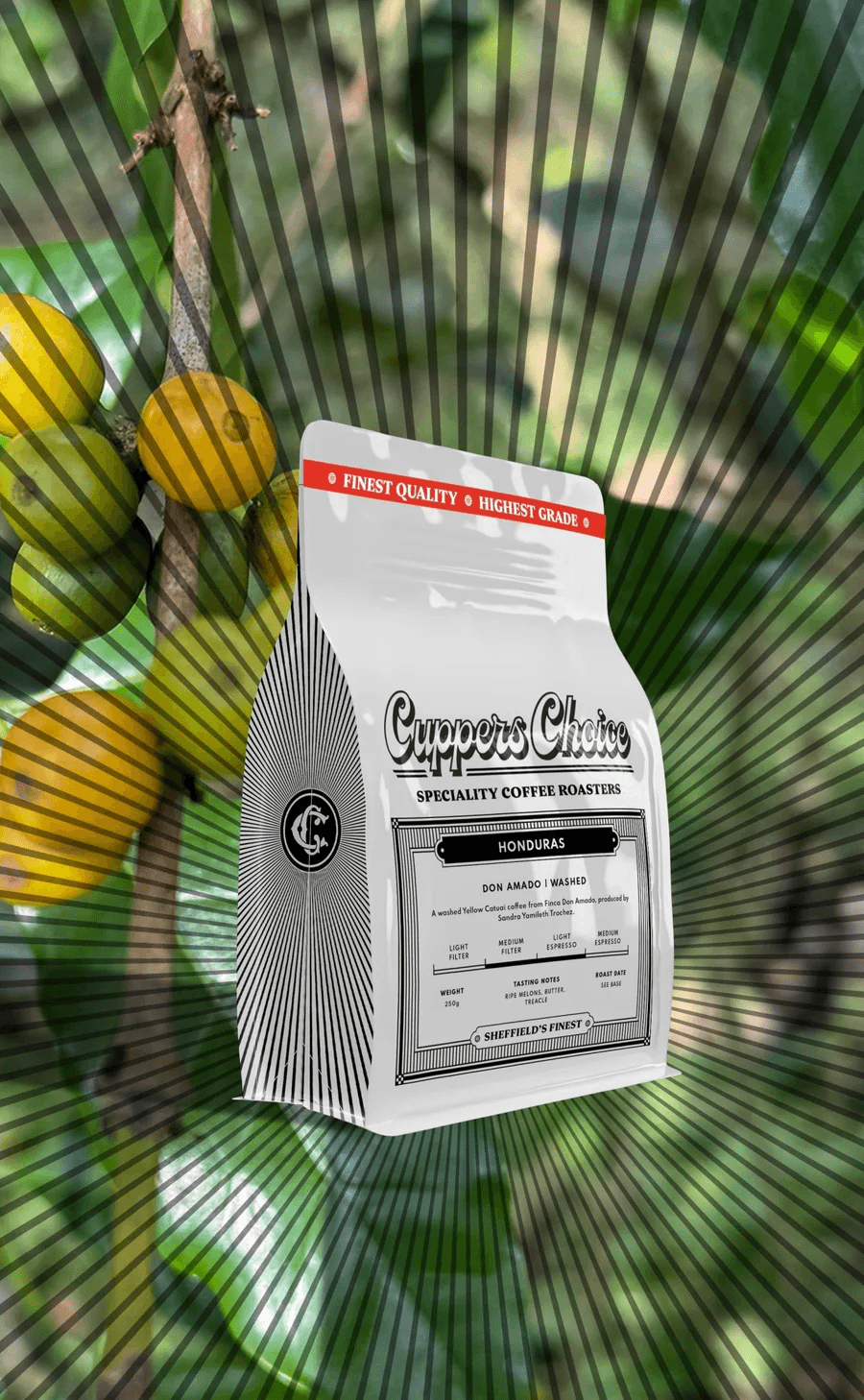 Image of Don Amado - Washed - Honduras