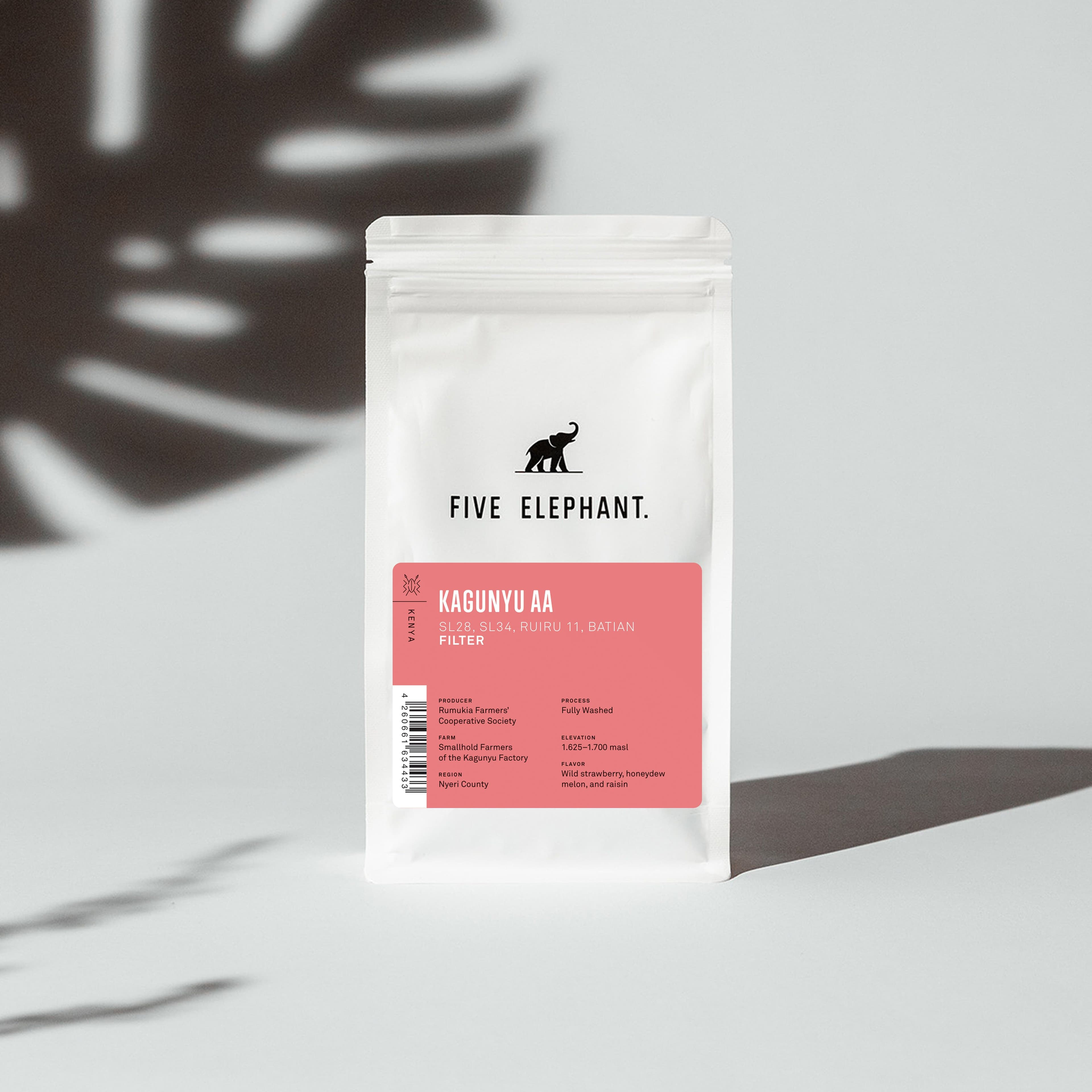 Image of Kenya Kagunyu AA Filter