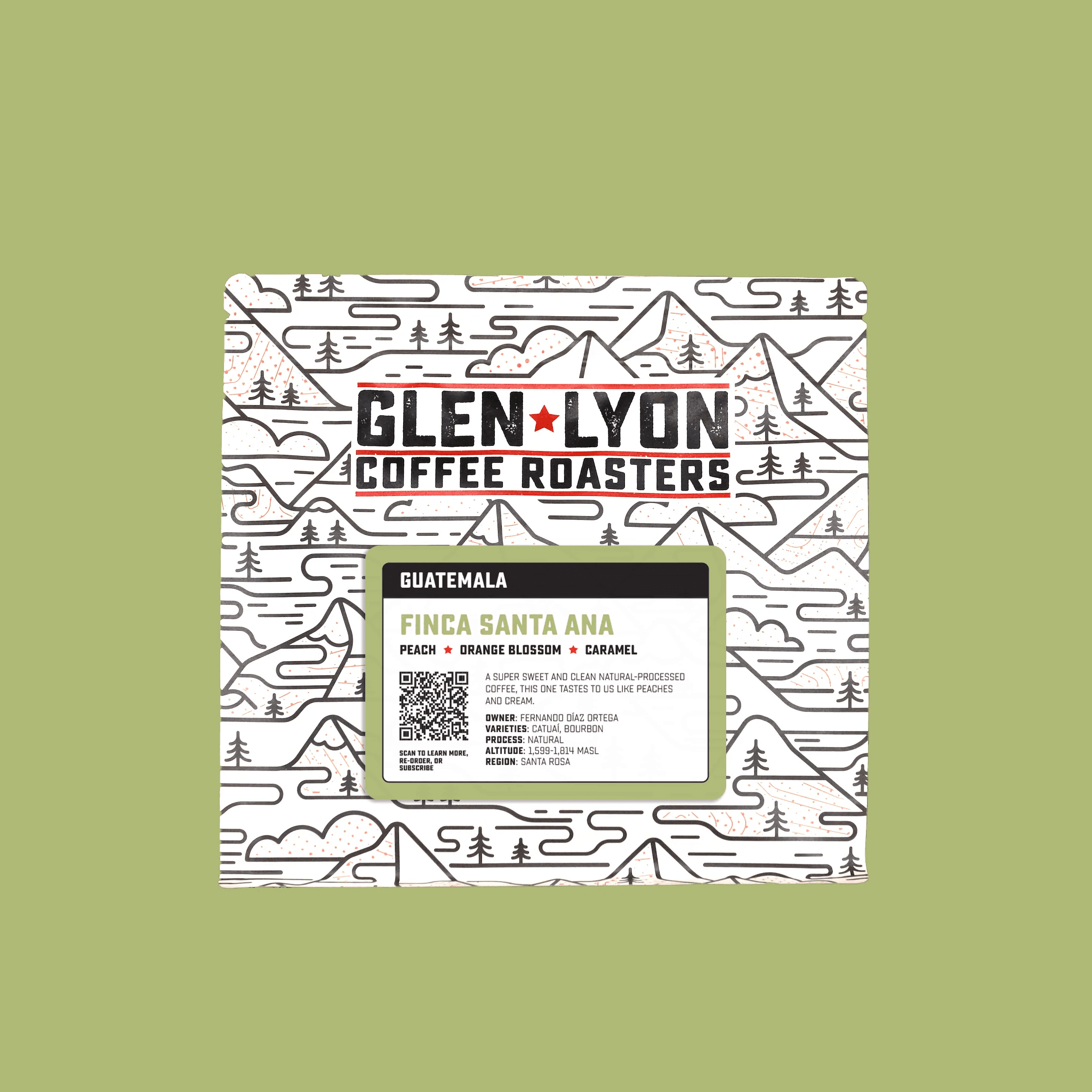 Image of Guatemala Santa Ana Natural