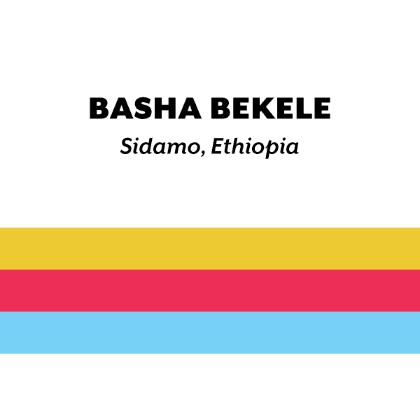 Image of Ethiopia Basha Bekele