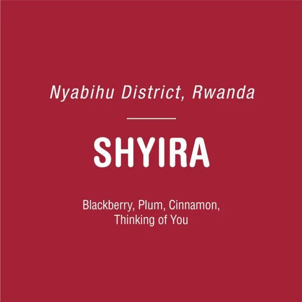 Image of Shyira - Rwanda