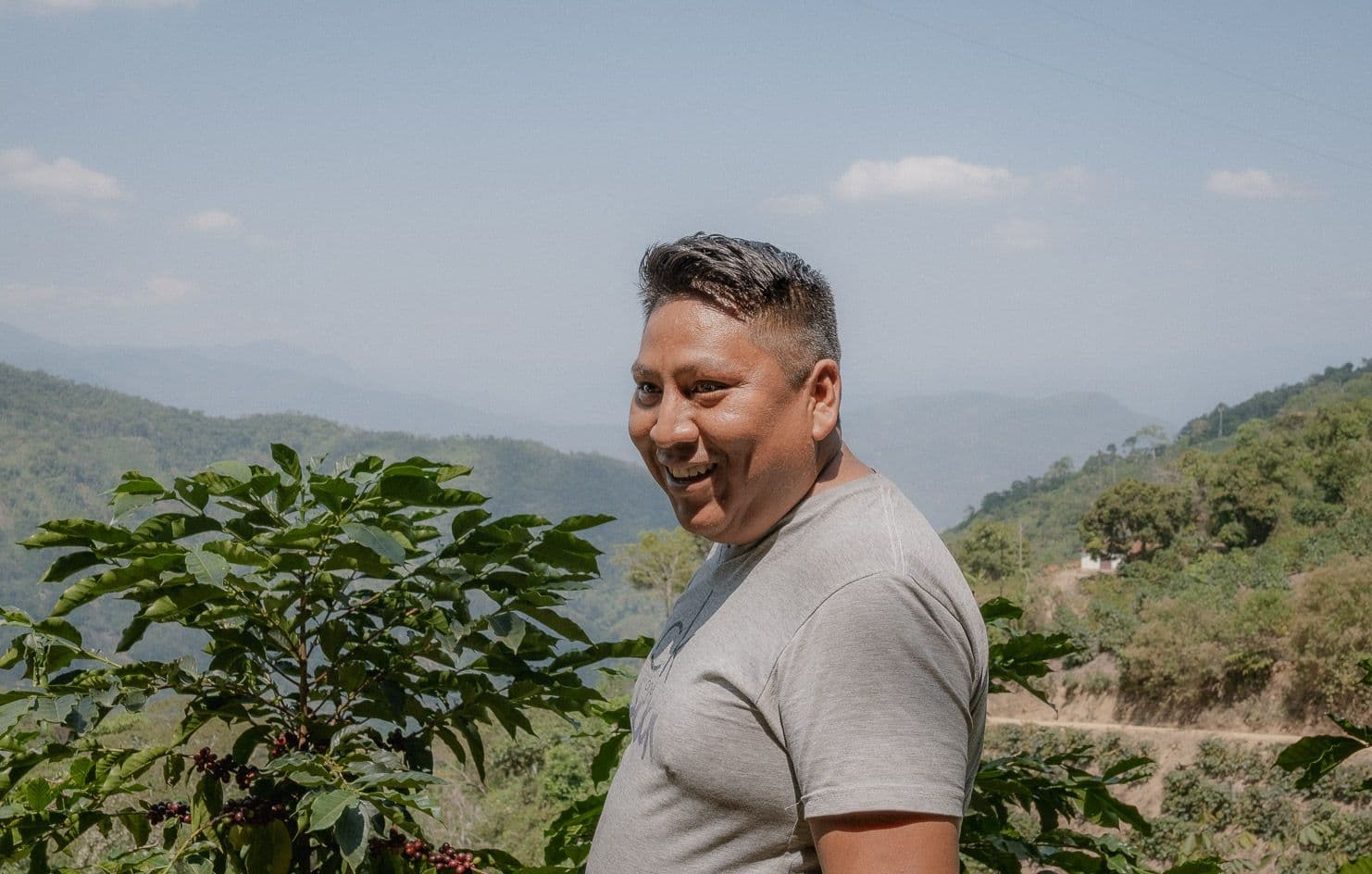 Image of Finca Oro Verde