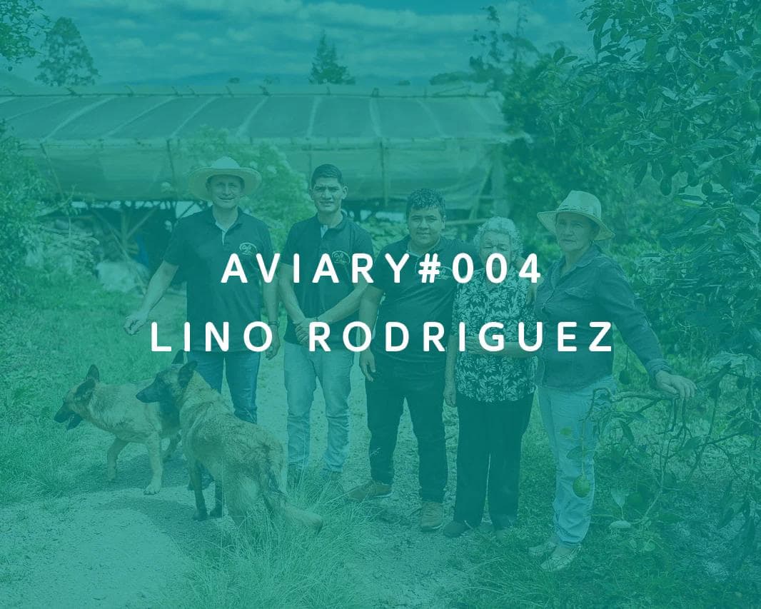 Image of 004 - Lino Rodriguez
