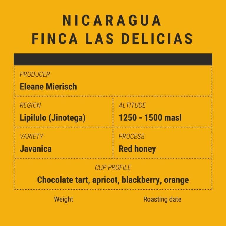 Image of Nicaragua Finca Las Delicias