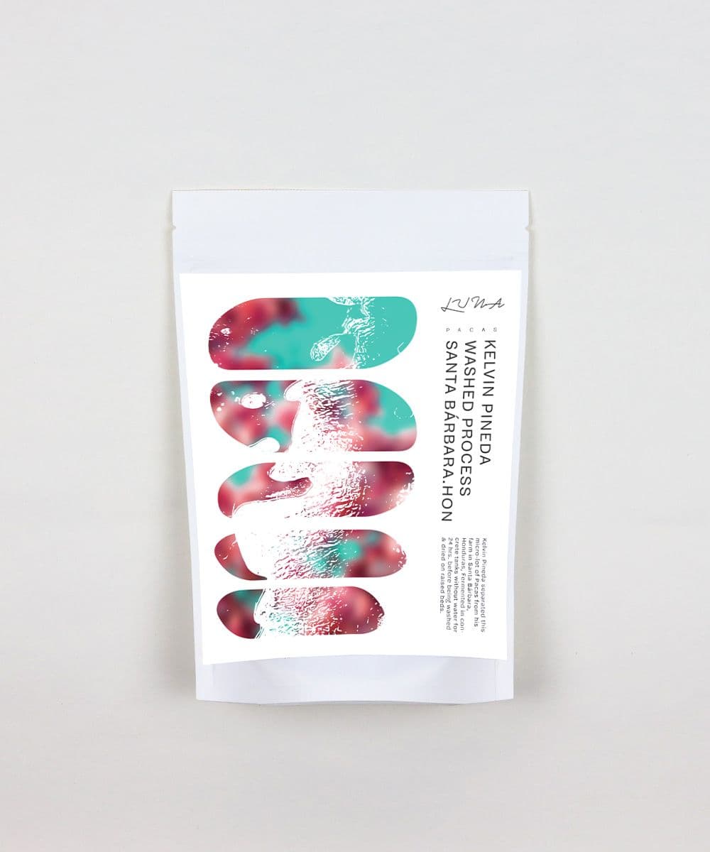 Image of Kelvin Pineda Pacas Santa Barbara Honduras