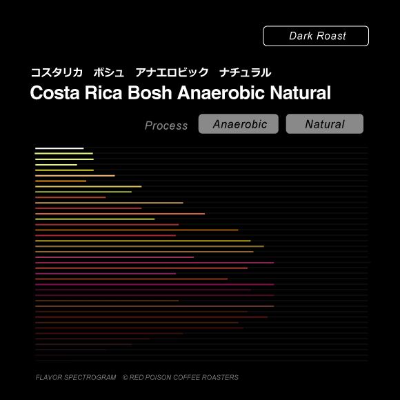 Image of Costa Rica Bosh Anaerobic Natural