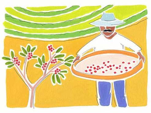 Image of Brazilian Monte Cristo