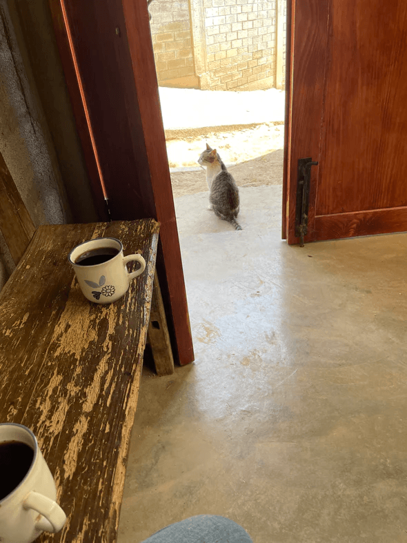 Image of Bulmaro Hernandez Mendoza - Oaxaca