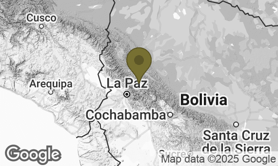 Image of Bolivia Julio Paye Mamani Finca San Bartolomé