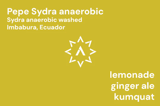 Image of Pepe Jijon Sydra Anaerobic