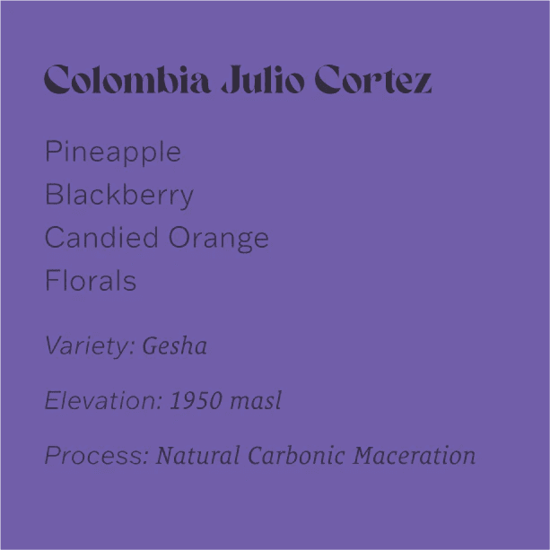 Image of Colombia Julio Cortez El Descanso