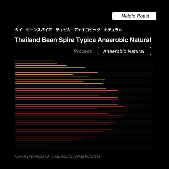 Image of Bean Spire Typica Anaerobic Natural
