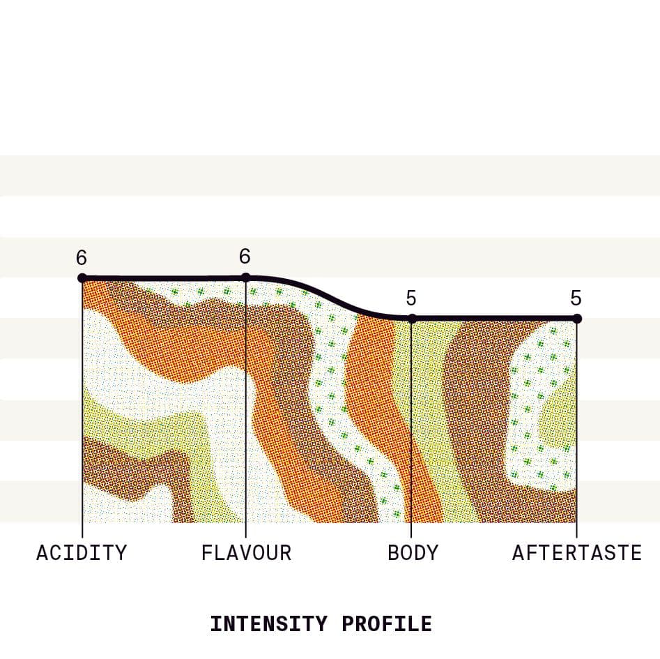 Image of Colombia Diego Samuel Bermudez Red Gesha ZEO