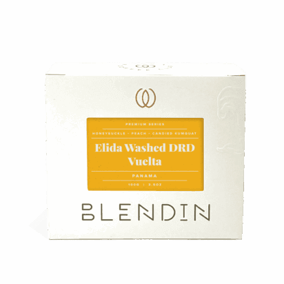 Image of Elida Washed DRD Vuelta