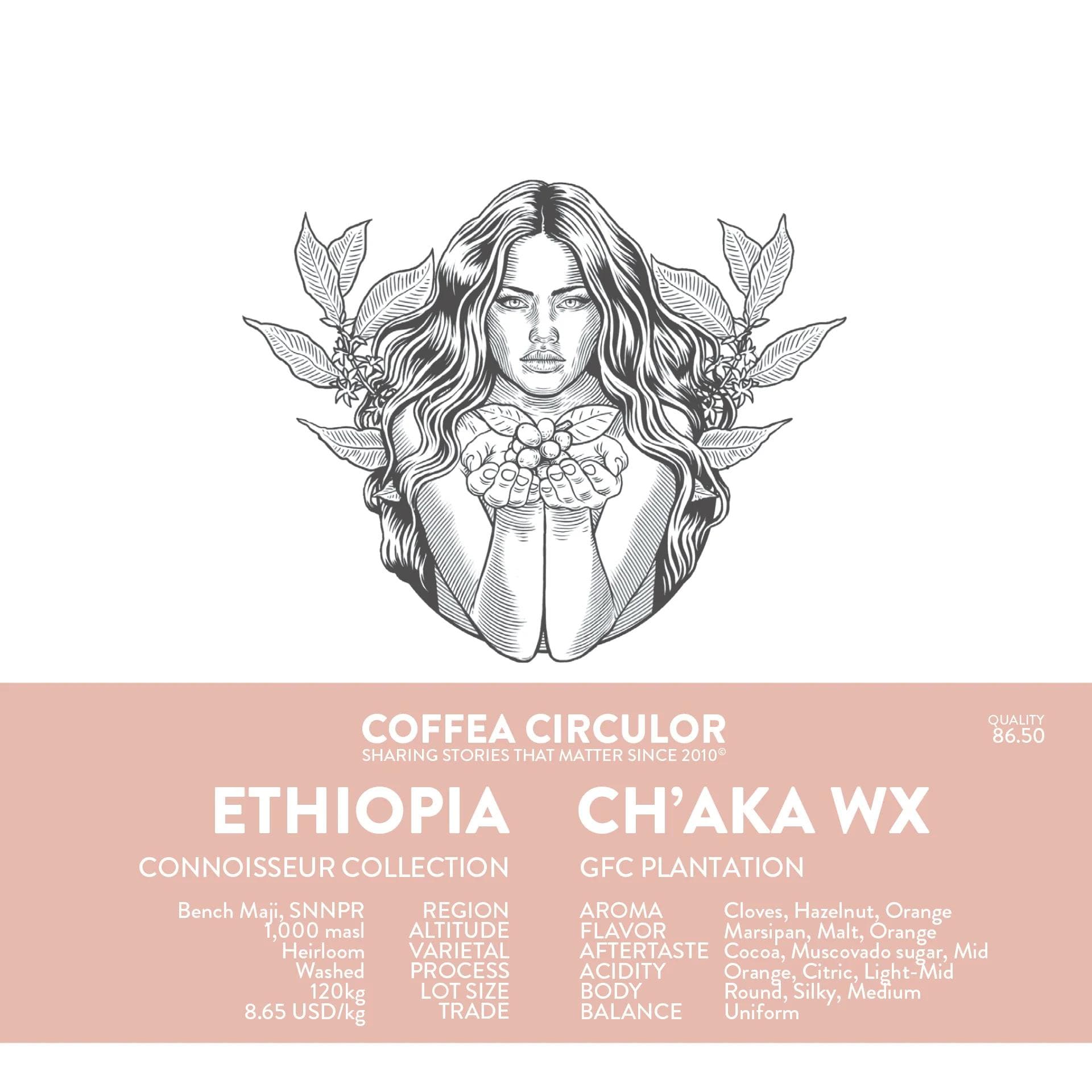 Image of Ethiopia Chaka Washed WX Espresso