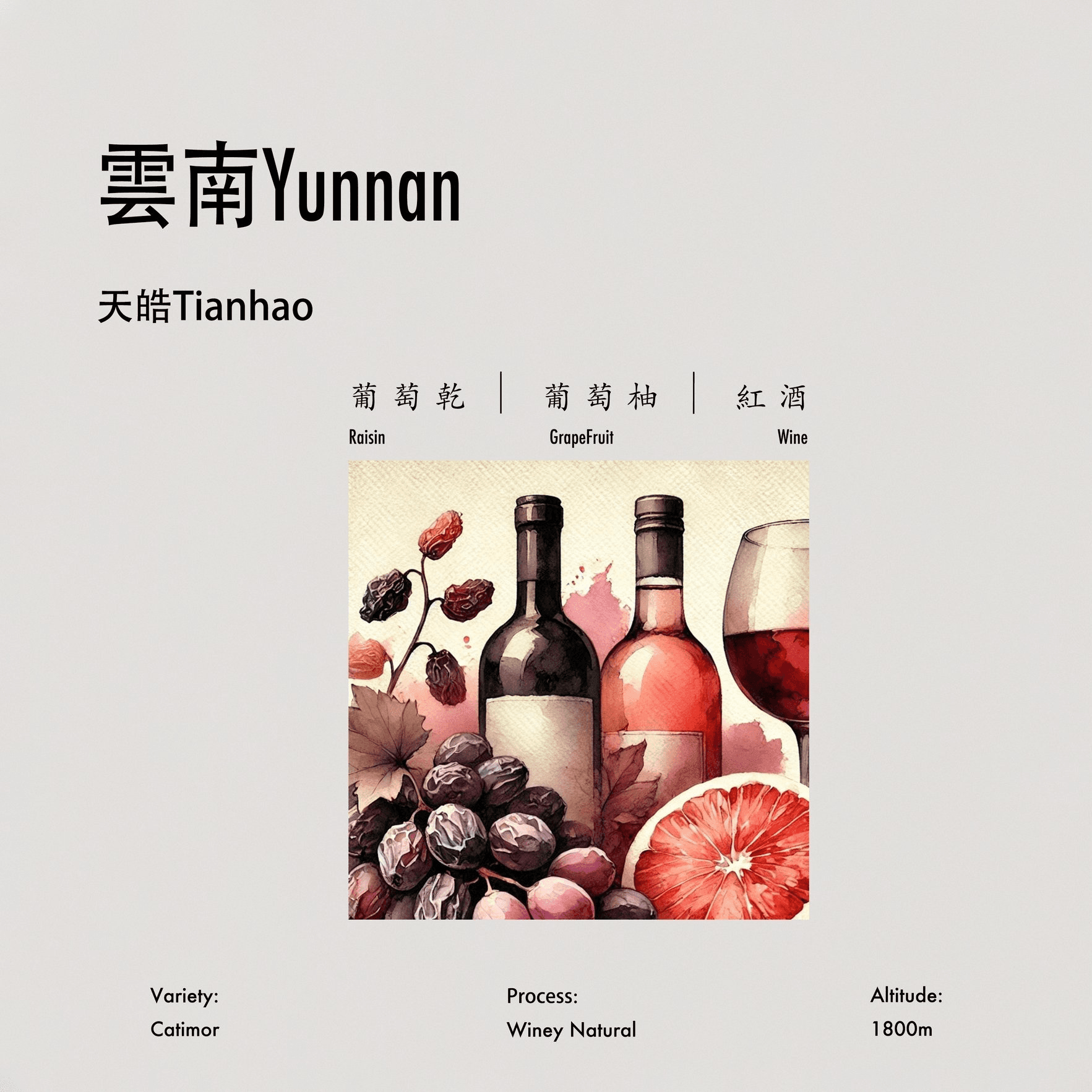 Image of Winely Natural Catimor