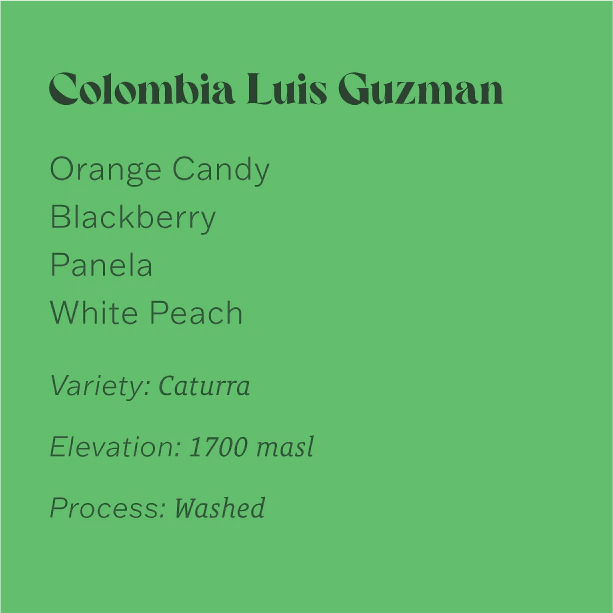 Image of Colombia Luis Guzman Washed