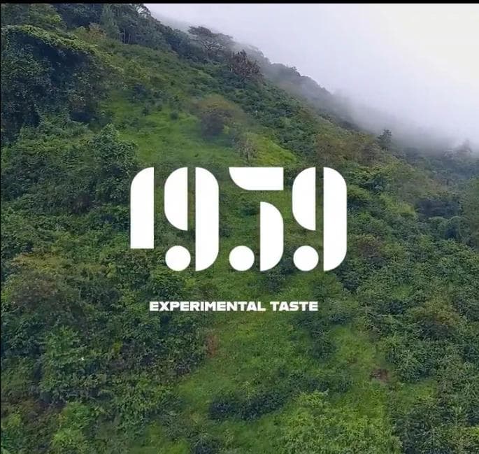 Image of Cafe 1959 Entre Montanas Geisha