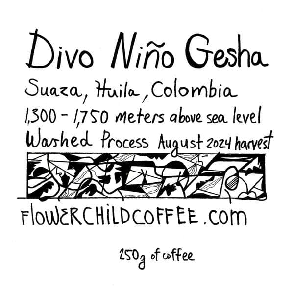 Image of Divo Niño Gesha