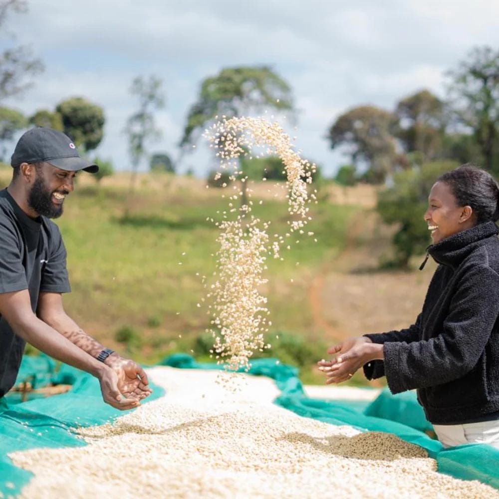 Image of Ethiopia - Elto Coffee - Bona Zuria Natural