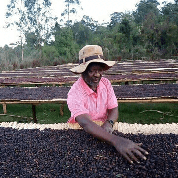 Image of Ethiopia Halo 19 Birhanu Dido