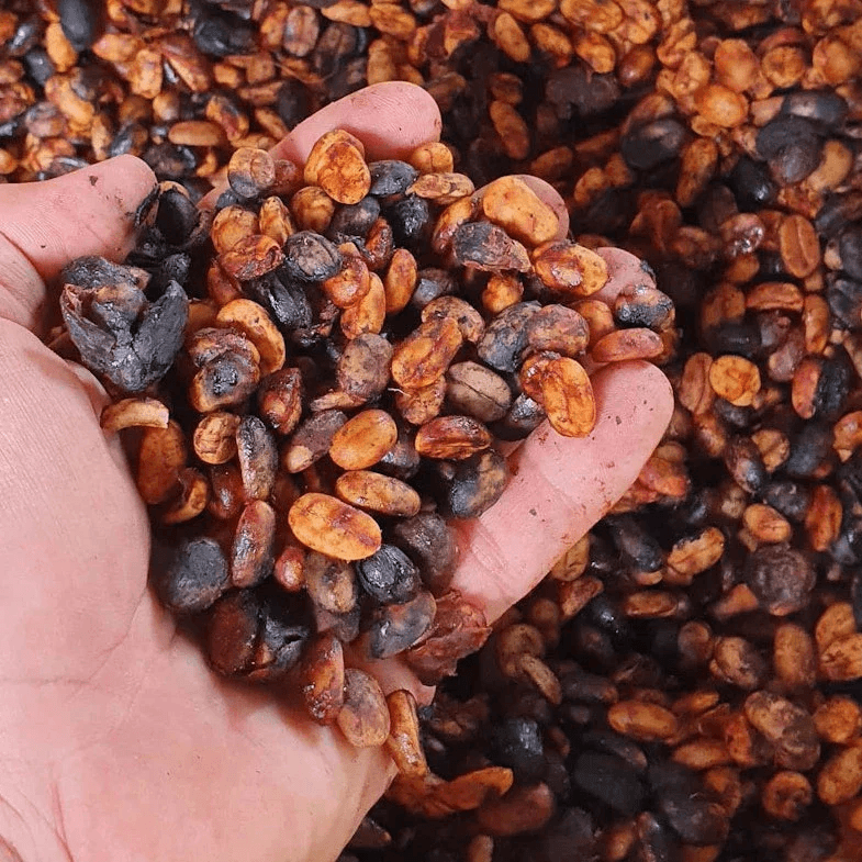 Image of Las Cruces Anaerobic Honey - Apaneca