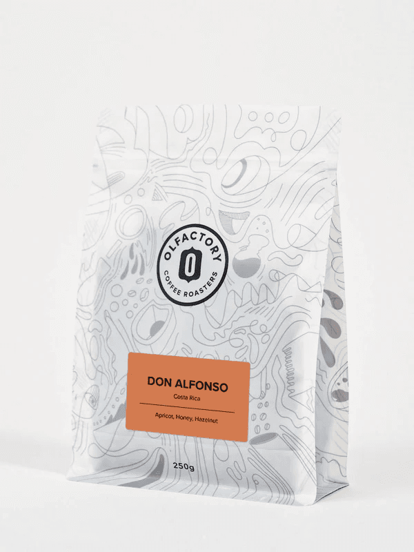 Image of Don Alfonso