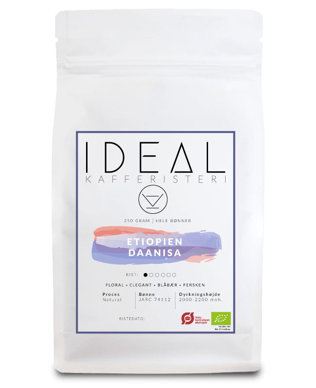 Image of Ethiopia Daanisa