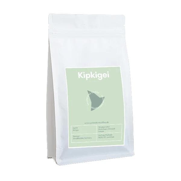 Image of Kipkigei AA