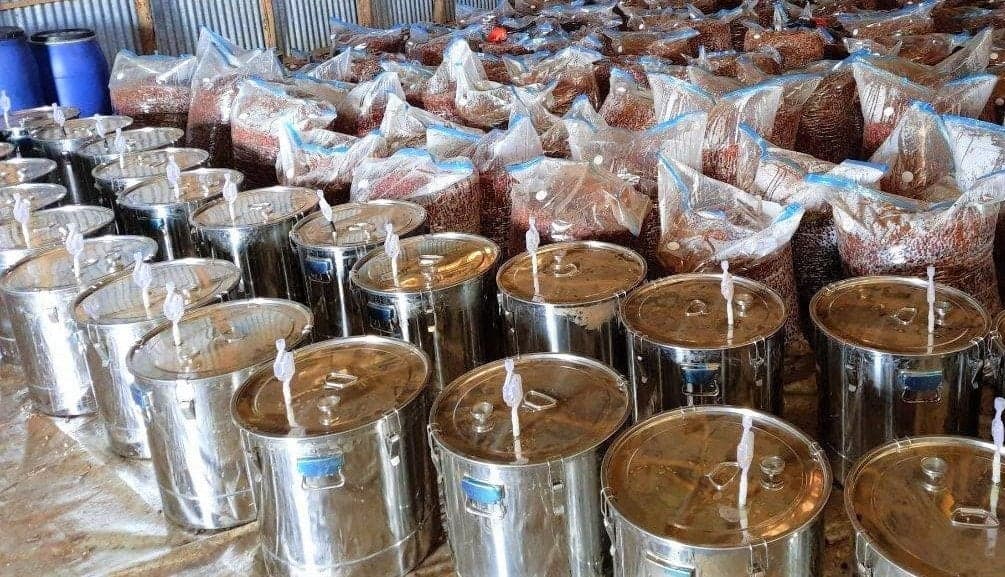 Image of Ethiopia Worka Gr1 Anaerobic Natural